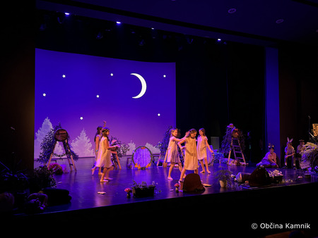 Predstava OŠ Frana Albrehta - Groznovilca (12)